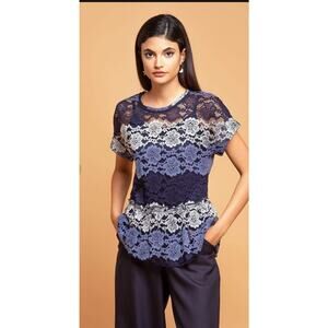 Eva Franco Floral Lace Peplum Top Blue Striped Sheer Anthropologie Womens Small